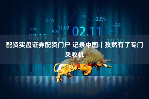 配资实盘证券配资门户 记录中国｜孜然有了专门采收机