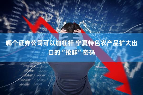 哪个证券公司可以加杠杆 宁夏特色农产品扩大出口的“抢鲜”密码