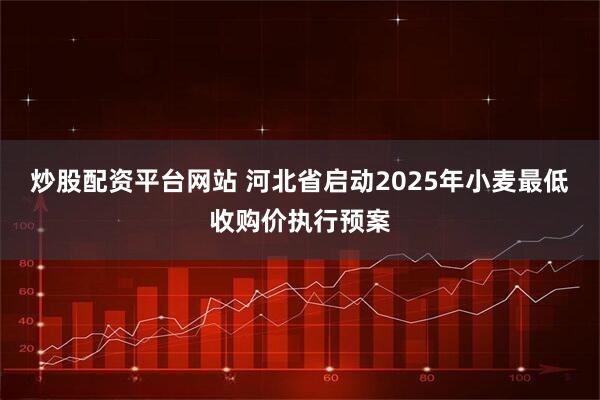 炒股配资平台网站 河北省启动2025年小麦最低收购价执行预案