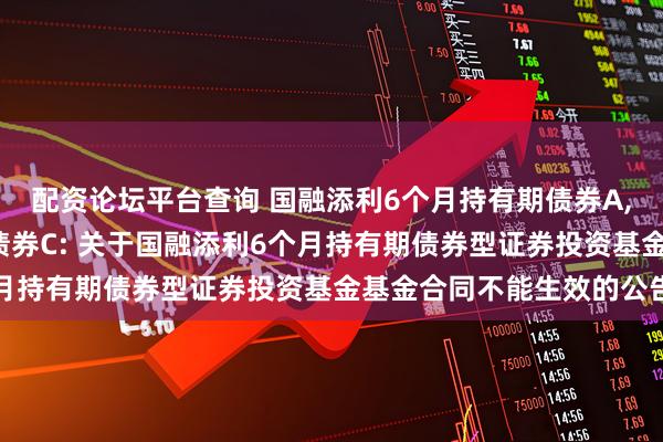 配资论坛平台查询 国融添利6个月持有期债券A,国融添利6个月持有期债券C: 关于国融添利6个月持有期债券型证券投资基金基金合同不能生效的公告